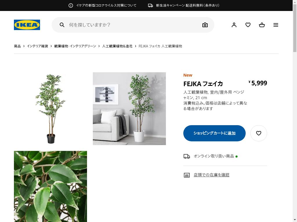 FEJKA フェイカ 人工観葉植物 - 室内/屋外用 ベンジャミン 21 CM