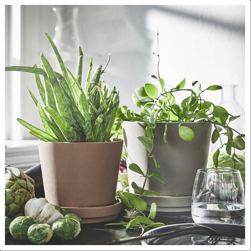 KLARBAR クラーベール 植木鉢 受け皿付き - 室内/屋外用 ブラウン 12cm