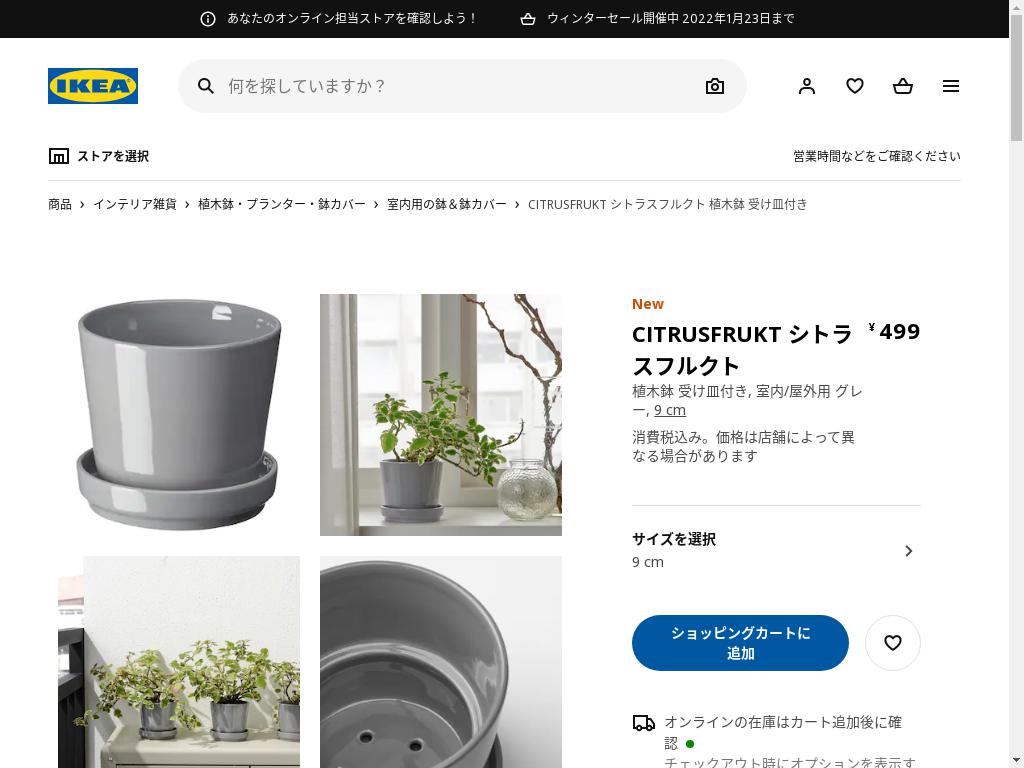CITRUSFRUKT シトラスフルクト 植木鉢 受け皿付き - 室内/屋外用 グレー 9 CM
