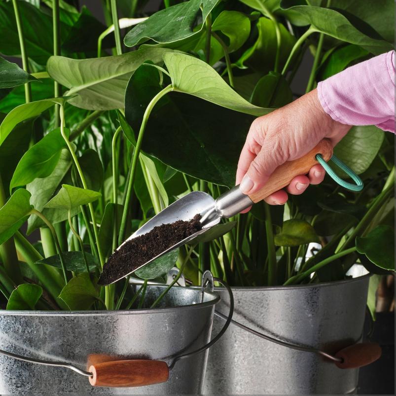 LARKAR レルカル ガーデニングセット 2点 - バーチ/ステンレススチール L