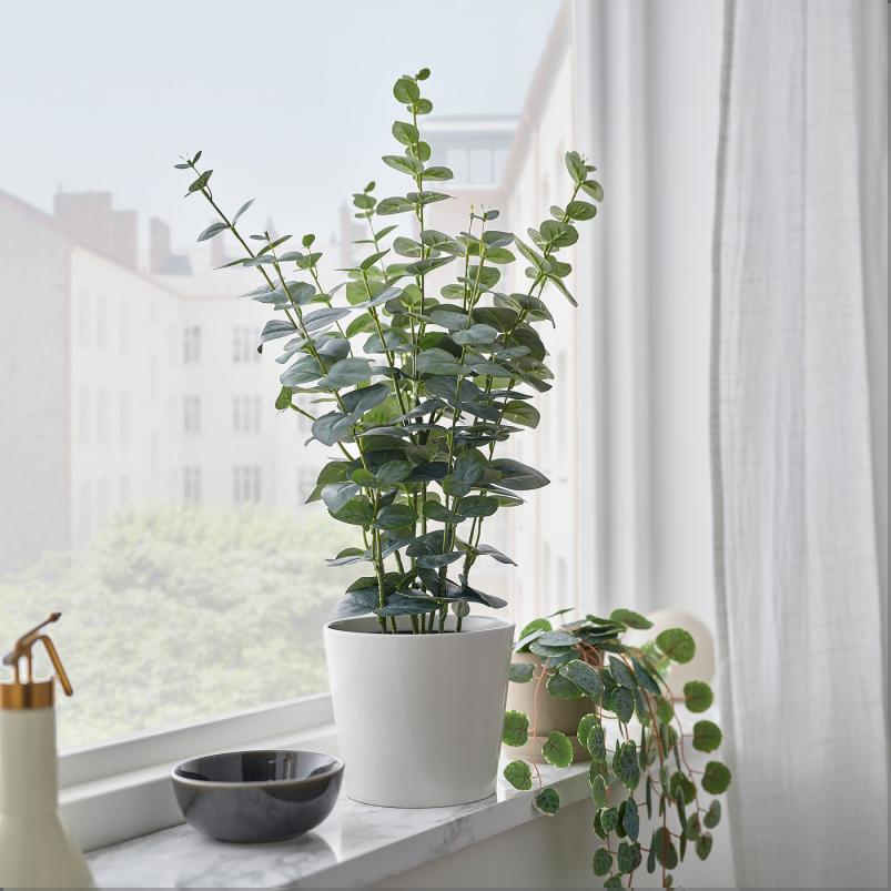 FEJKA フェイカ 人工観葉植物 - 室内/屋外用 ユーカリ 15cm