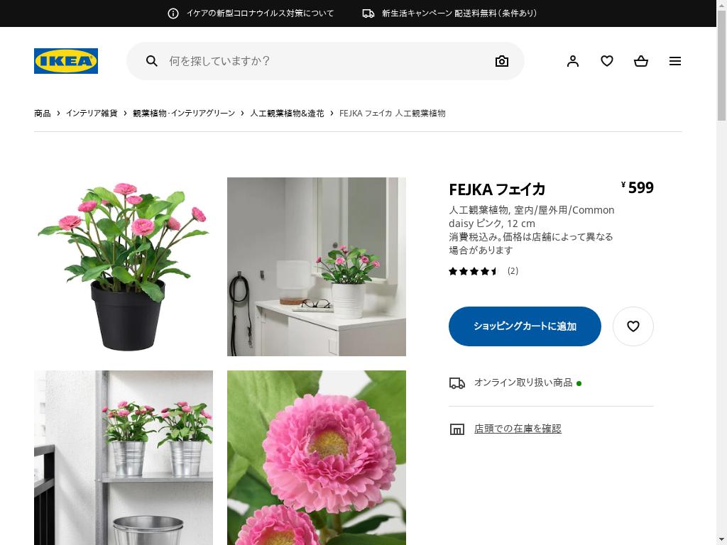 FEJKA フェイカ 人工観葉植物 - 室内/屋外用/COMMON DAISY ピンク 12 CM