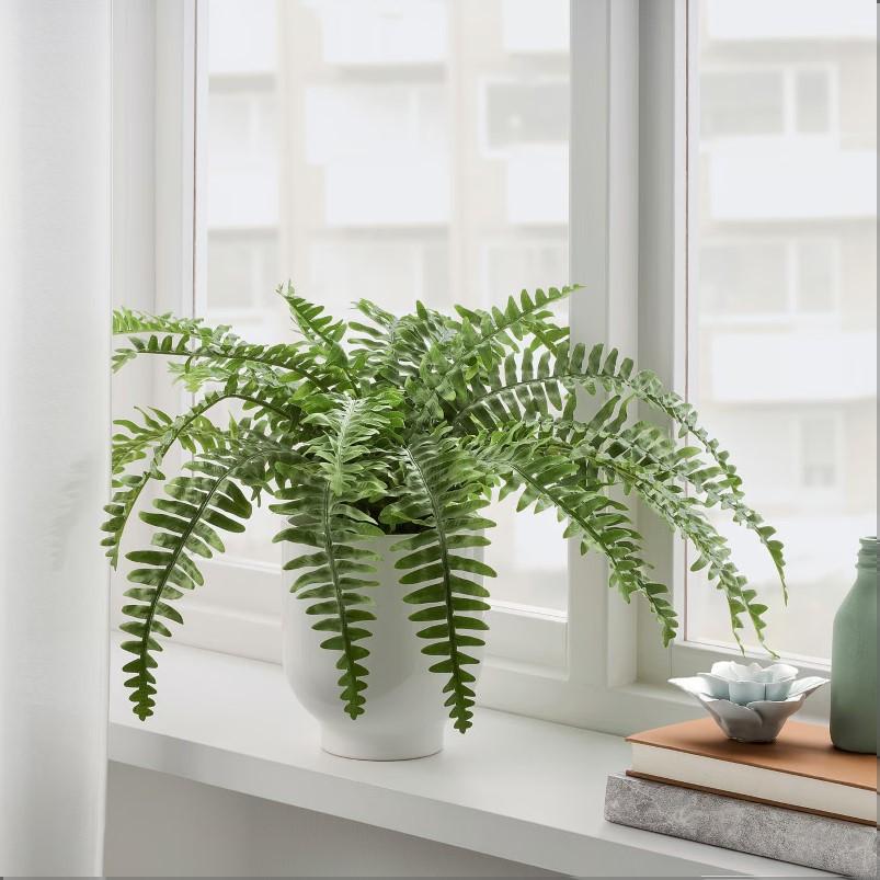 FEJKA フェイカ 人工観葉植物 - 室内/屋外用 アビス 15cm