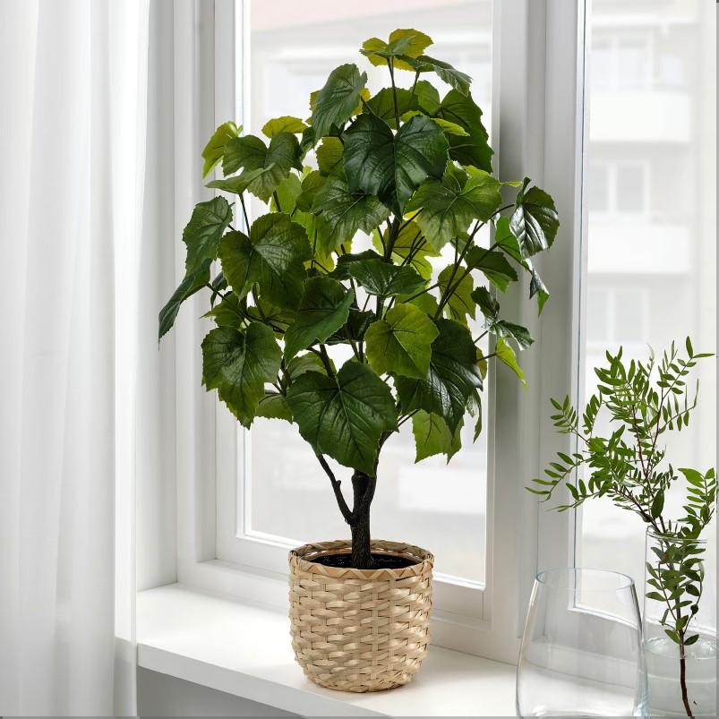 FEJKA フェイカ 人工観葉植物 - 室内/屋外用 ヤマブドウ 15cm