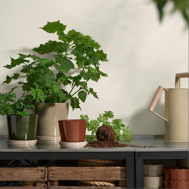 KLOTLONN クロートロン 植木鉢 受け皿付き - 室内/屋外用/ダークグレーグリーン ライトベージュ 15cm