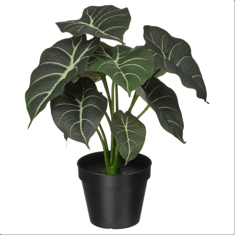 FEJKA フェイカ 人工観葉植物 - 室内/屋外用 アロカシア 12 cm