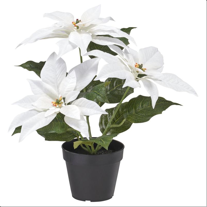 VINTERFINT ヴィンテルフィント 人工観葉植物 - 室内/屋外用 ポインセチア/ホワイト 12cm