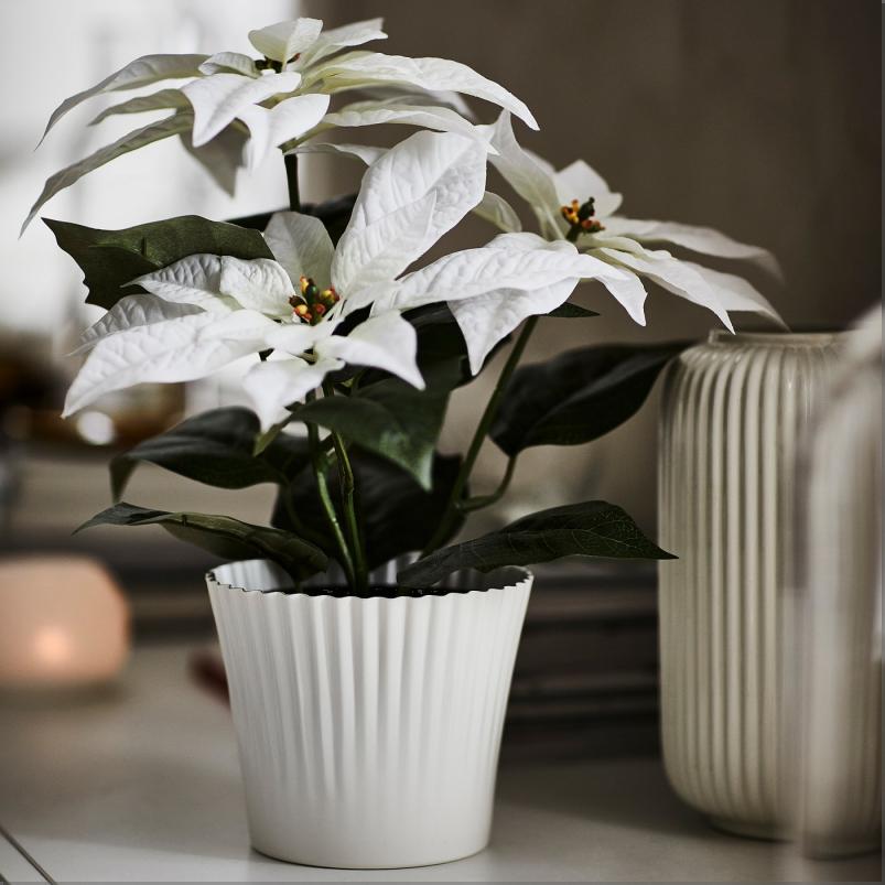 VINTERFINT ヴィンテルフィント 人工観葉植物 - 室内/屋外用 ポインセチア/ホワイト 12cm