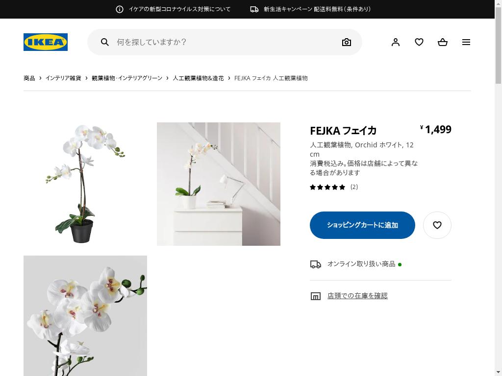 FEJKA フェイカ 人工観葉植物 - ORCHID ホワイト 12 CM