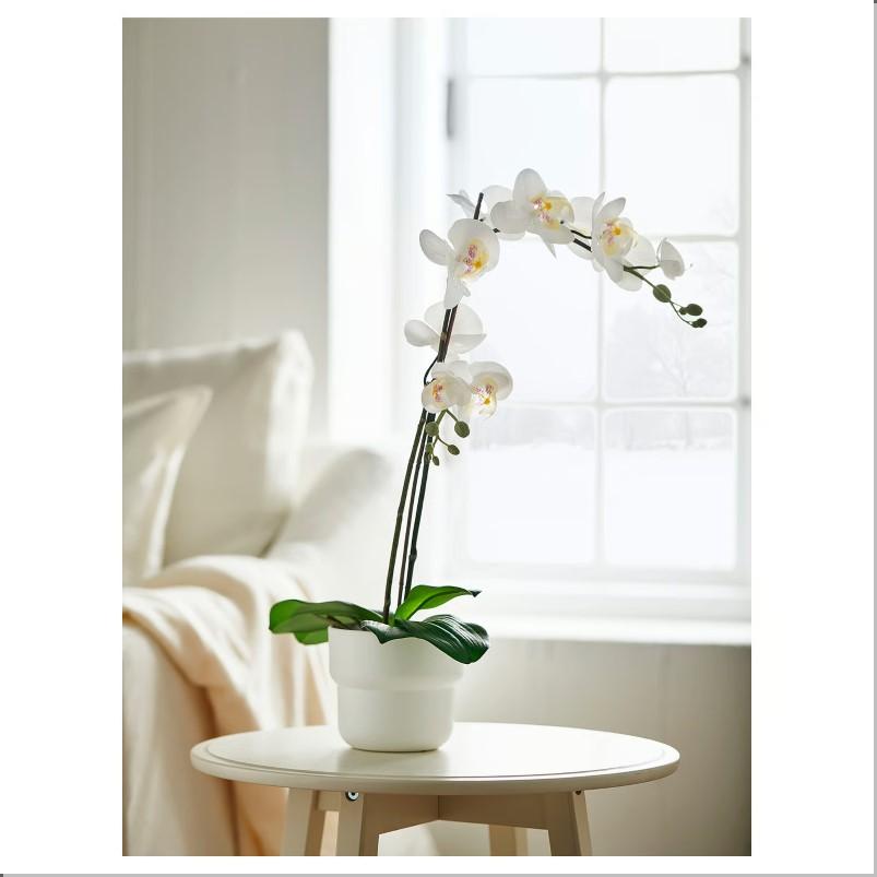 FEJKA フェイカ 人工観葉植物 - Orchid ホワイト 12cm