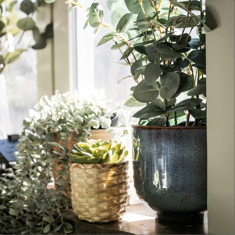 FEJKA フェイカ 人工観葉植物 - 室内/屋外用 ユーカリ 15cm
