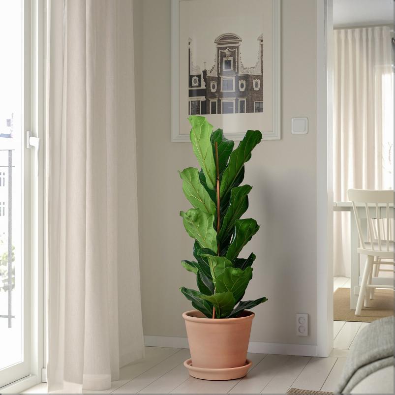 MUSKOTBLOMMA ムスコットブロマ 植木鉢 受け皿付き - 室内/屋外用 テラコッタ 24cm