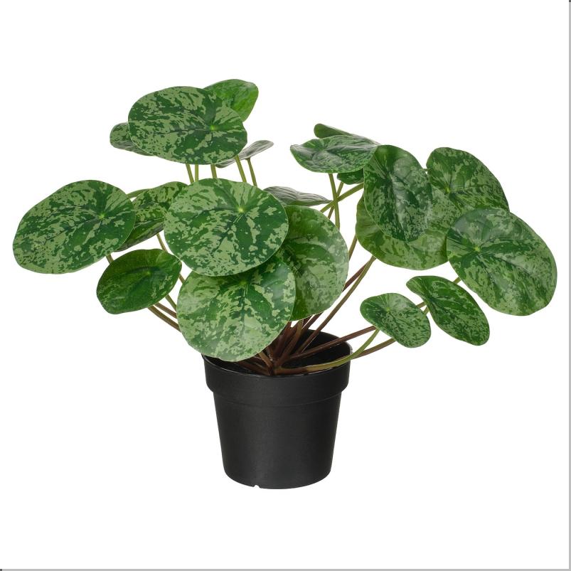 FEJKA フェイカ 人工観葉植物 - 室内/屋外用 ピレア 9 cm