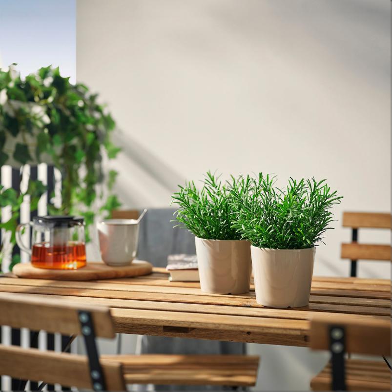 FEJKA フェイカ 人工観葉植物 - 室内/屋外用/ローズマリー 9cm