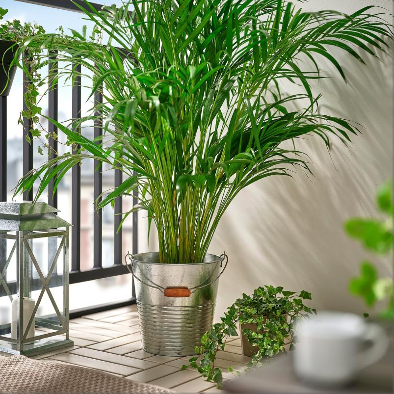 KORKGRAN コルクグラン バケツ/鉢カバー - 室内/屋外用/亜鉛メッキ 10L