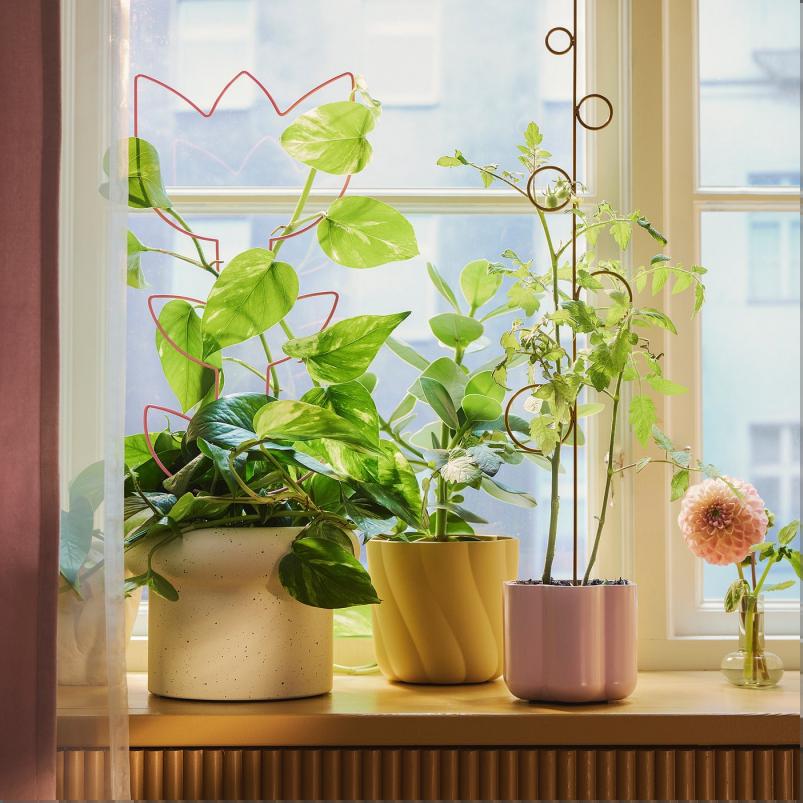 DOFTRIPS ドフトリプス プラントサポート 2点セット - 室内/屋外用/形ミックス