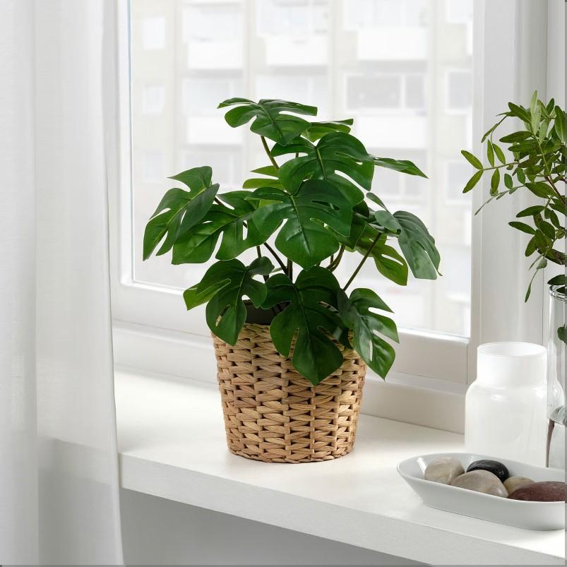 FEJKA フェイカ 人工観葉植物 - 室内/屋外用 モンステラ 12cm