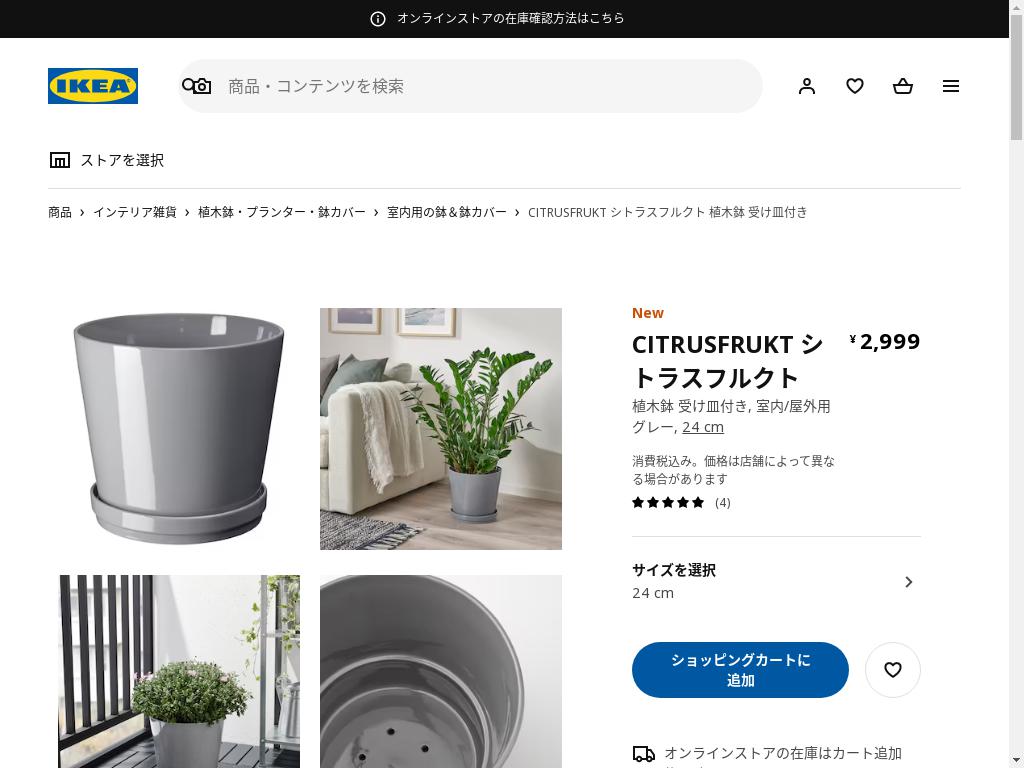 CITRUSFRUKT シトラスフルクト 植木鉢 受け皿付き - 室内/屋外用 グレー 24 CM