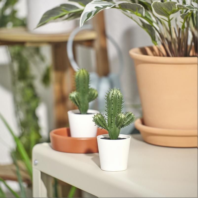 FEJKA フェイカ 人工観葉植物 - 室内/屋外用 サボテン 6cm