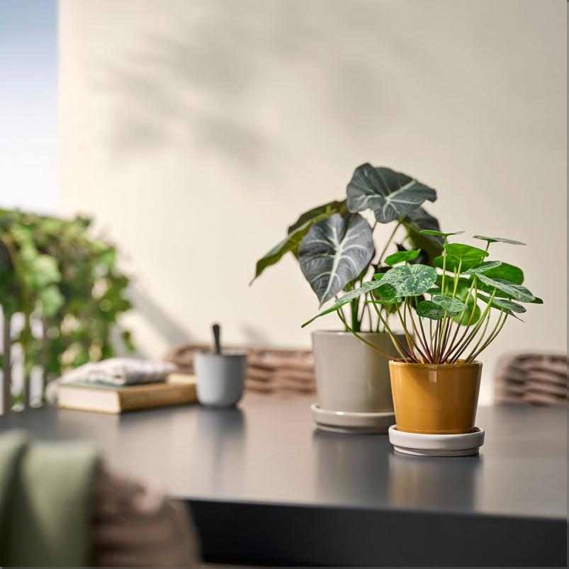 KLOTLONN クロートロン 植木鉢 受け皿付き - 室内/屋外用/ダークイエロー ライトベージュ 9cm