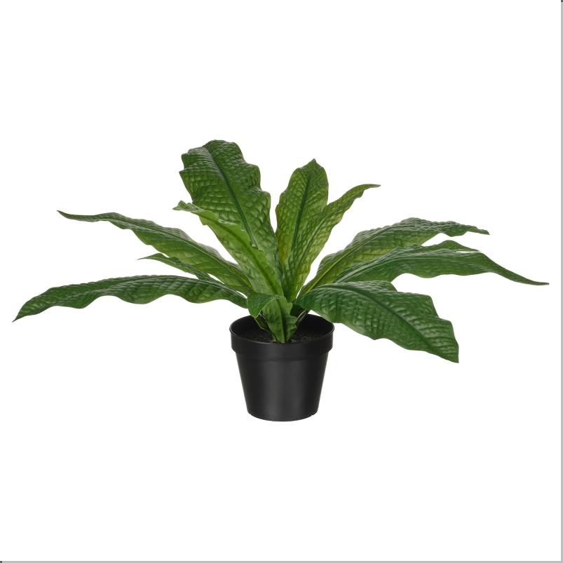 FEJKA フェイカ 人工観葉植物 - 室内/屋外用 クロコダイルファーン 12 cm