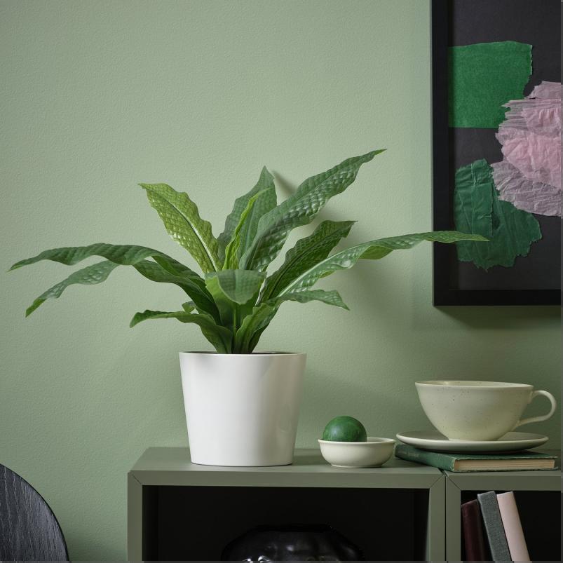 FEJKA フェイカ 人工観葉植物 - 室内/屋外用 クロコダイルファーン 12cm