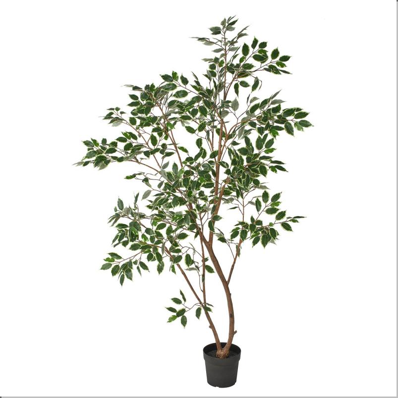 FEJKA フェイカ 人工観葉植物 - 室内/屋外用/ベンジャミン 23cm