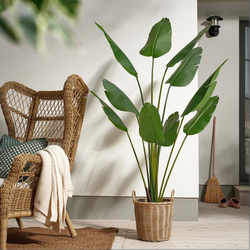 FEJKA フェイカ 人工観葉植物 - 室内/屋外用/ゴクラクチョウカ 23cm