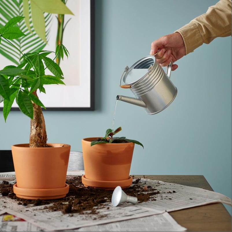 KORKGRAN コルクグラン じょうろ - 室内/屋外用/亜鉛メッキ 1L