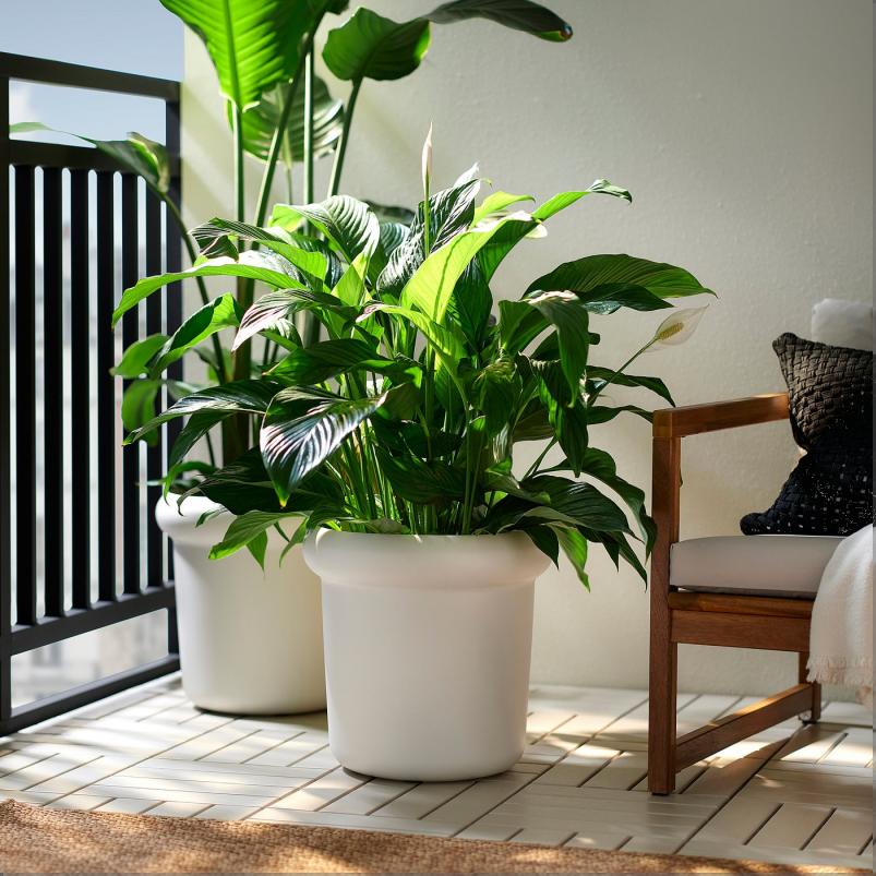 MABARSBUSKE モーベルスブスケ 植木鉢 - 屋外用/オフホワイト 32cm