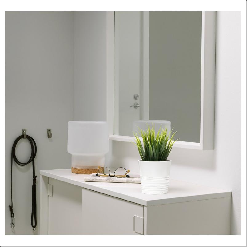 FEJKA フェイカ 人工観葉植物 - 室内/屋外用 グラス 9 cm