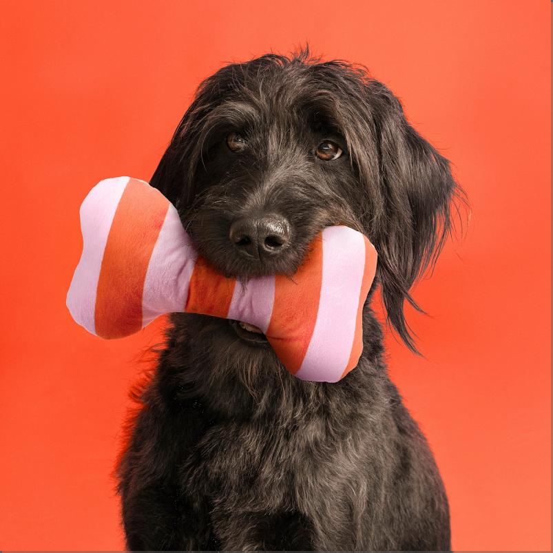 UTSADD ウートソッド ぬいぐるみ イヌ用 - ストライプ/ライトピンク ブライトオレンジ