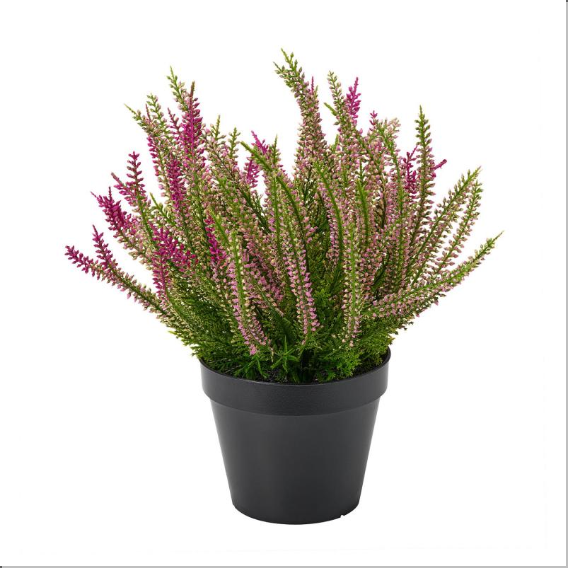 FEJKA フェイカ 人工観葉植物 - 室内/屋外用/カルーナブルガリス ライラック 12cm