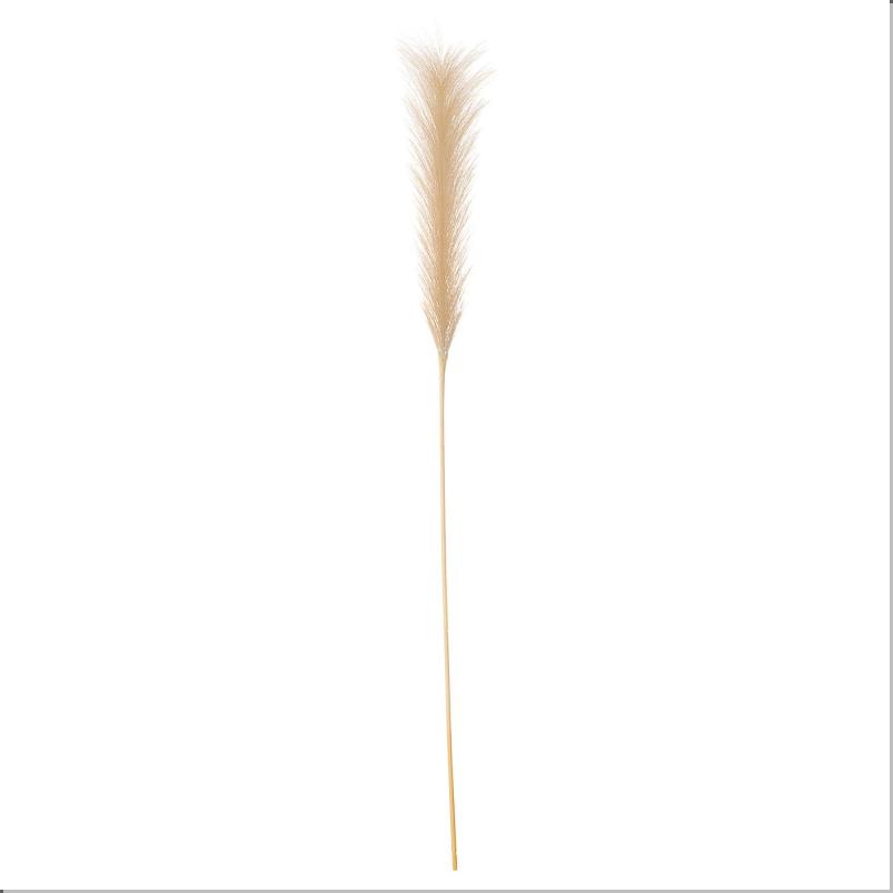 SMYCKA スミッカ 造花 - Pampasgrass 86cm