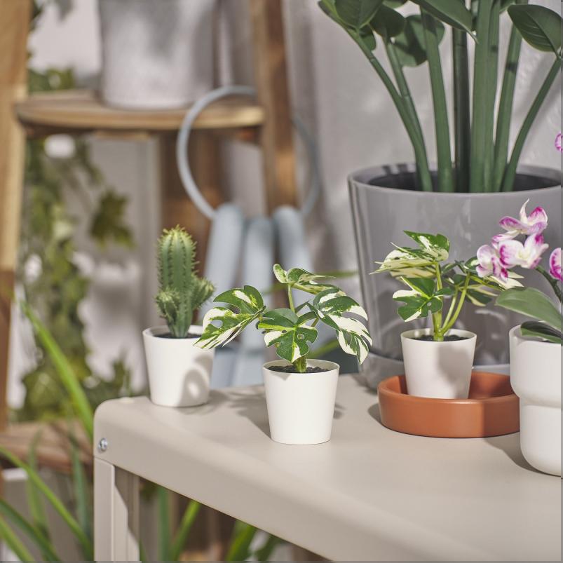 FEJKA フェイカ 人工観葉植物 鉢カバー付き - 室内/屋外用 モンステラ 6cm