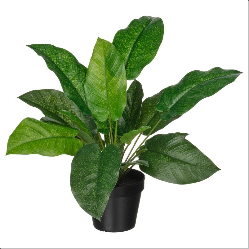 FEJKA フェイカ 人工観葉植物 - 室内/屋外用 カラテア 12 cm