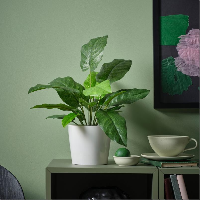 FEJKA フェイカ 人工観葉植物 - 室内/屋外用 カラテア 12cm