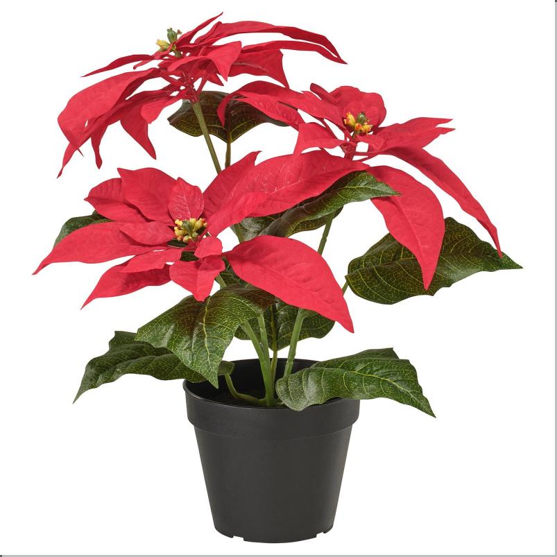 VINTERFINT ヴィンテルフィント 人工観葉植物 - 室内/屋外用 ポインセチア/レッド 12cm