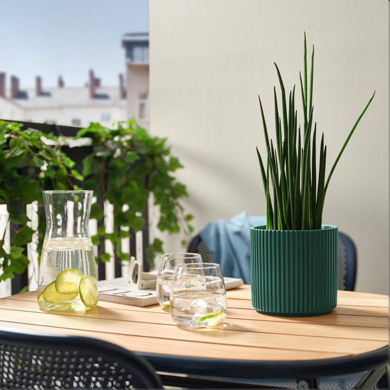 DAKSJUS ダクシュース 植木鉢 - ダークグリーン 12cm