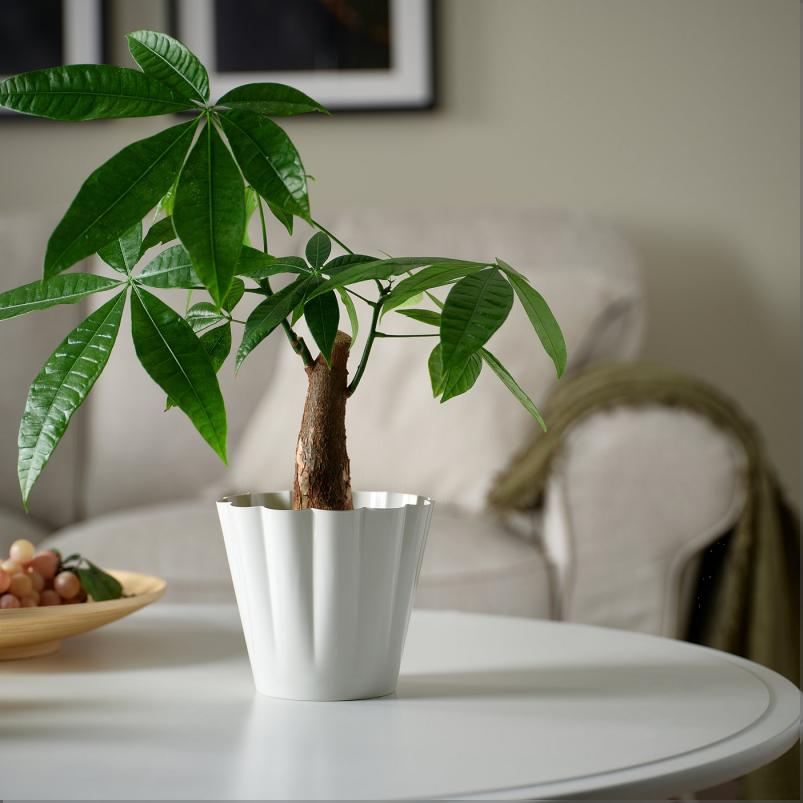 KVASTSPIREA クヴァストスピレア 鉢カバー - 室内/屋外用/オフホワイト 12cm