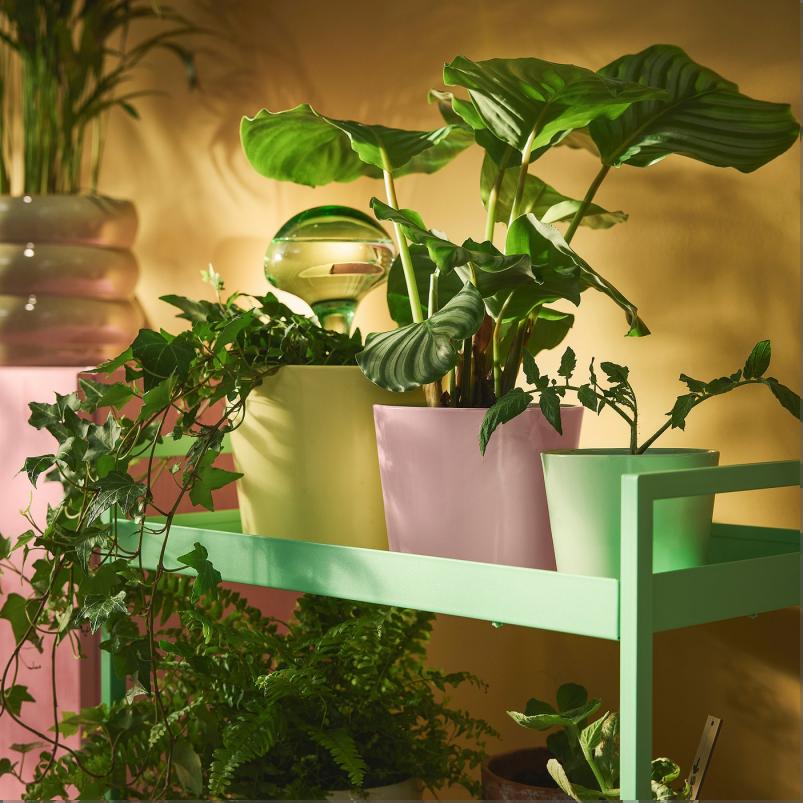 SOJABONA ソイヤボナ 鉢カバー - ライトピンク 12cm