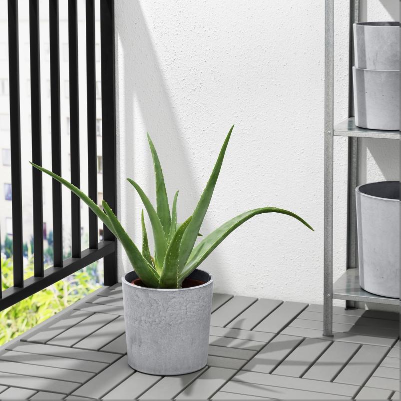 BOYSENBAR ボイセンベール 鉢カバー - 室内/屋外用 ライトグレー 19cm