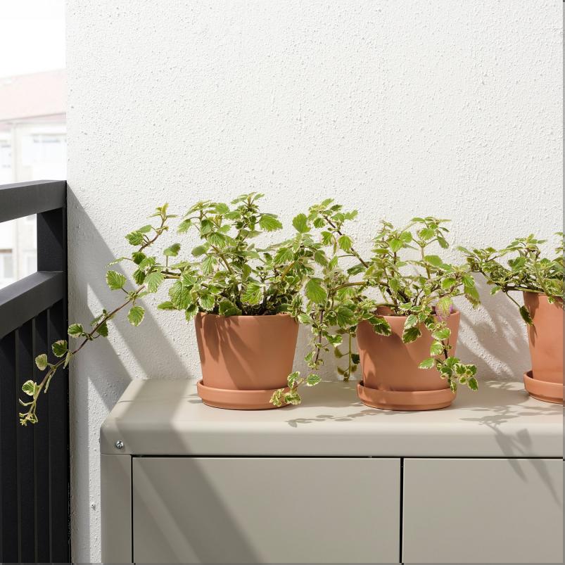 BRUNBAR ブルンベール 植木鉢 受け皿付き - 屋外用 テラコッタ 12cm