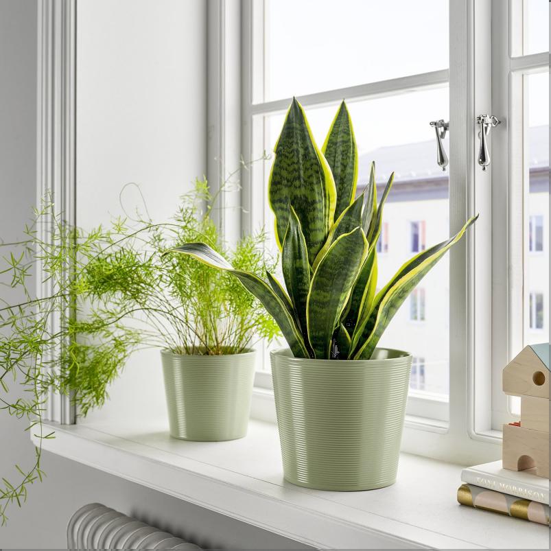 BROKSPIREA ブロークスピレア 鉢カバー - ライトグリーン 15cm