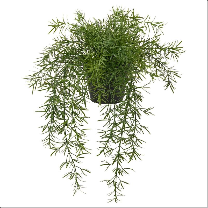 FEJKA フェイカ 人工観葉植物 - 室内/屋外用 アスパラガス/つり下げ型 12cm