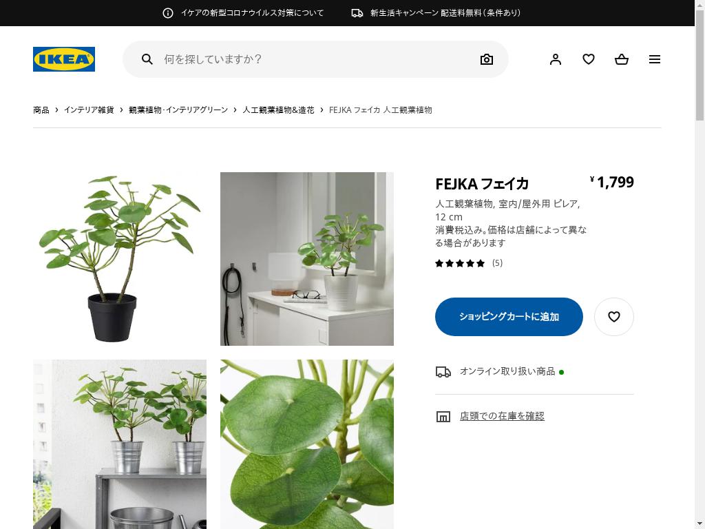 FEJKA フェイカ 人工観葉植物 - 室内/屋外用 ピレア 12 CM