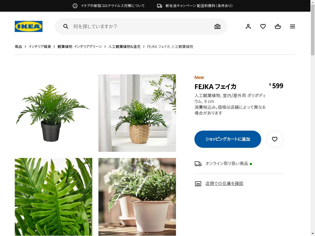 FEJKA フェイカ 人工観葉植物 - 室内/屋外用 ポリポディウム 9 CM