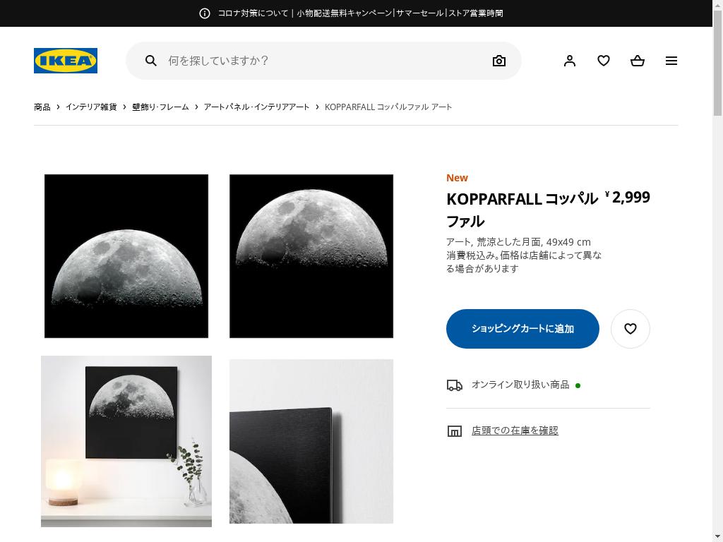 KOPPARFALL コッパルファル アート - 荒涼とした月面 49X49 CM