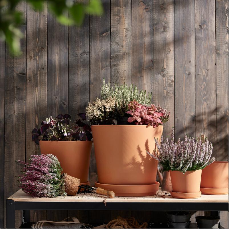 BRUNBAR ブルンベール 植木鉢 受け皿付き - 屋外用 テラコッタ 24cm