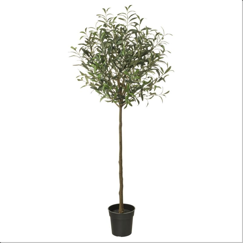 FEJKA フェイカ 人工観葉植物 - 室内/屋外用/オリーブ グリーン 19cm